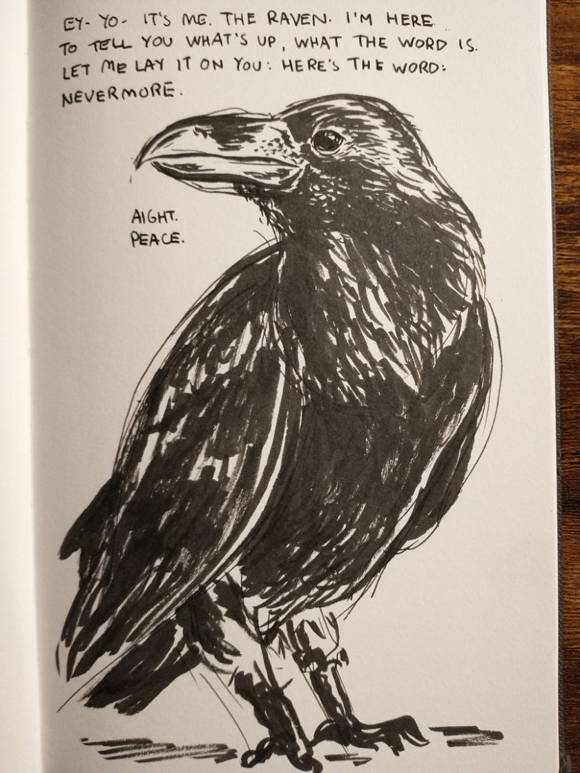 day 5 - raven
