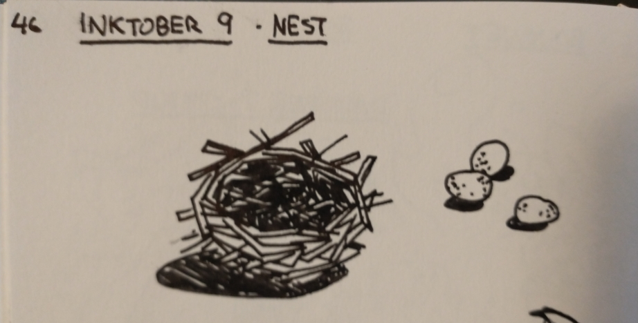 day 9 - nest